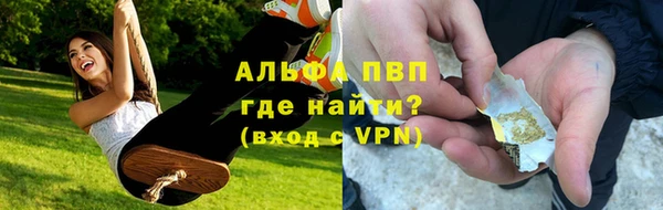 стаф Абинск
