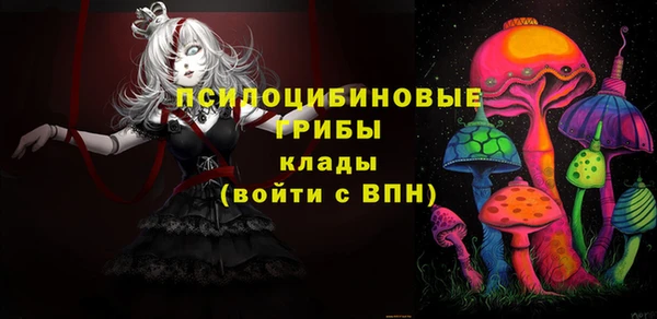 стаф Абинск