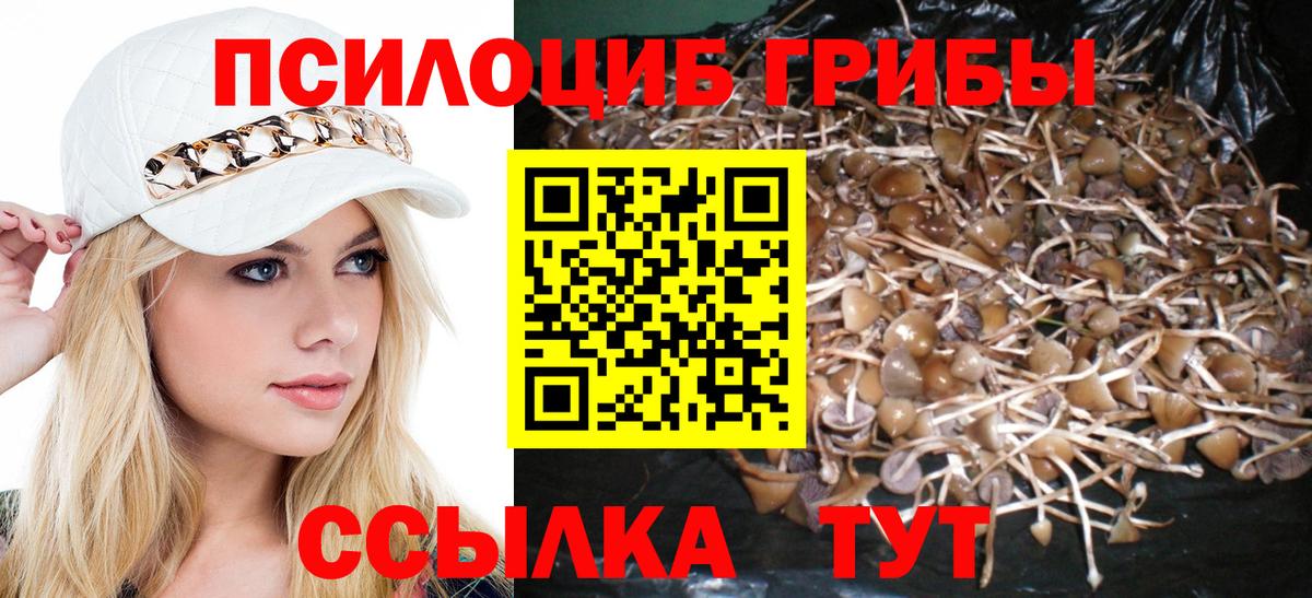 продажа наркотиков  Галлюциногенные грибы прущие грибы  Галлюциногенные грибы Psilocybine cubensis  Вход с VPN  Кандалакша 
